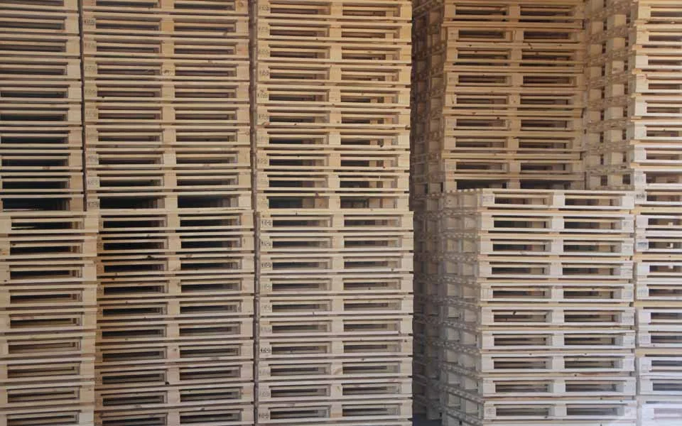 Engangspall 800x1200 mm 800x1200 mm v:9330363