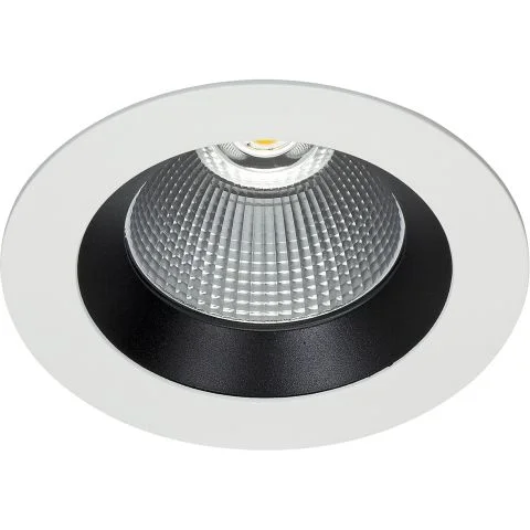 Silver Easyform Downlight 3043446