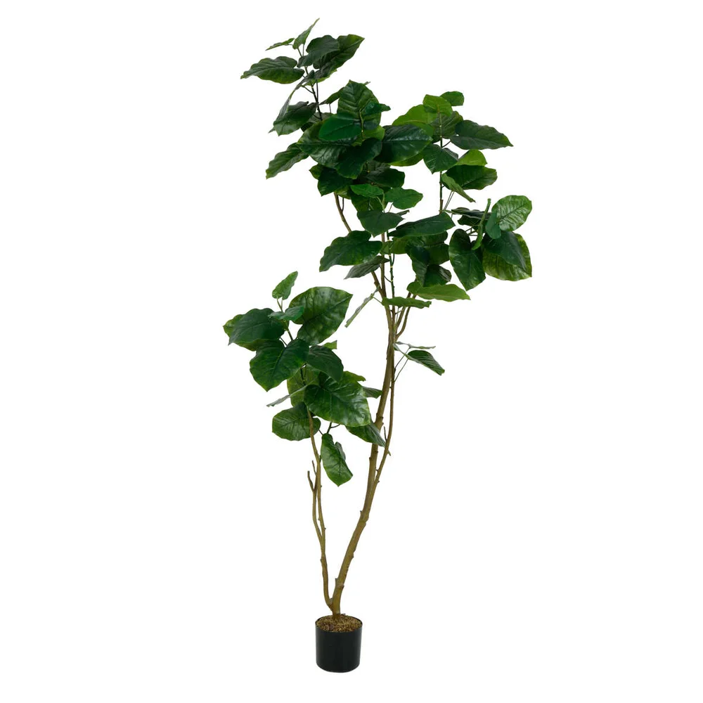 Fikus kunstig plante v:8430316
