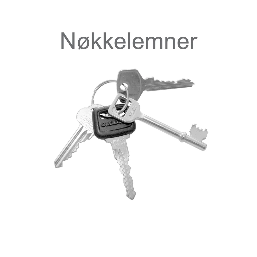 NØKKELEMNE CE2 v:7256161