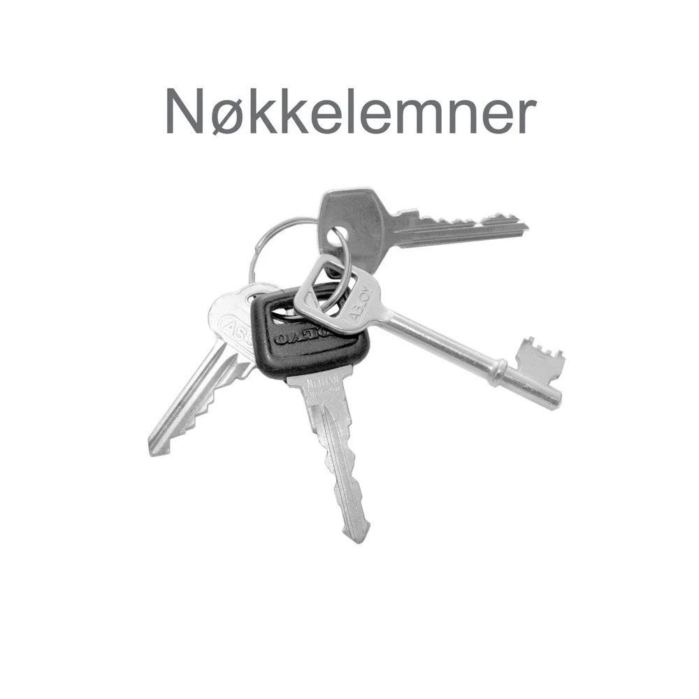 NØKKELEMNE TR4 FKR.(508/6) v:6744467