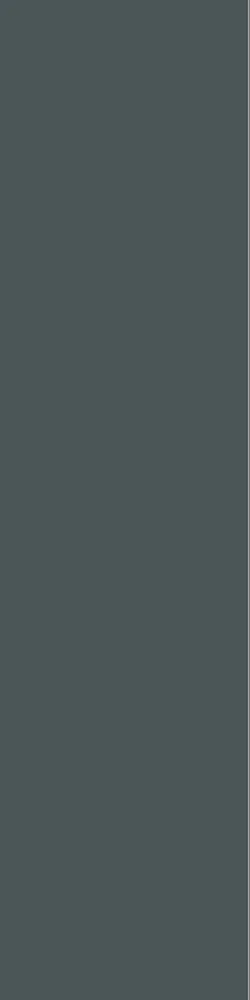 Panel mørk grå 11x620x2390 mm v:9993909