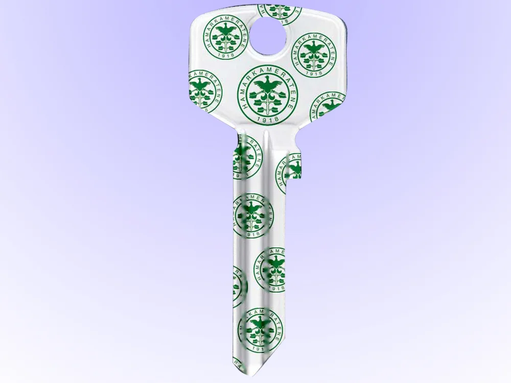 NØKKELEMNE TR4 HAMKAM v:8227595