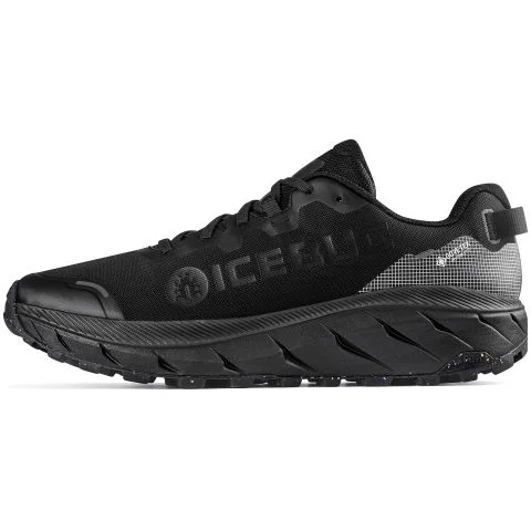Arcus 2 RB9X GTX Icebug Yrkesko 4051242