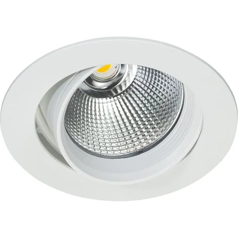 Silver Easyform Downlight 3043451