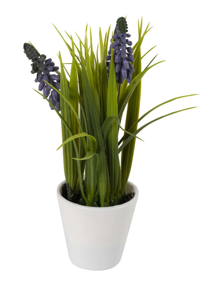 Lennea Lavendel v:1214362