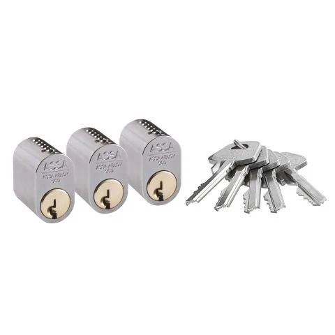 1301 ASSA Låsesylinder 3019903