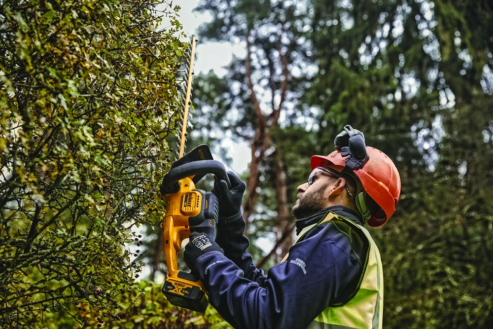 Dewalt Hekksaks 18V XR DCMHT563N-XJ 25 mm v:5795861 Dewalt Hekksaks 18V XR DCMHT563N-XJ 25 mm v:5795861
