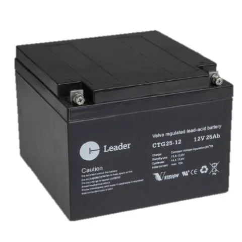 CTG25-12 Leader Blybatteri 2818496